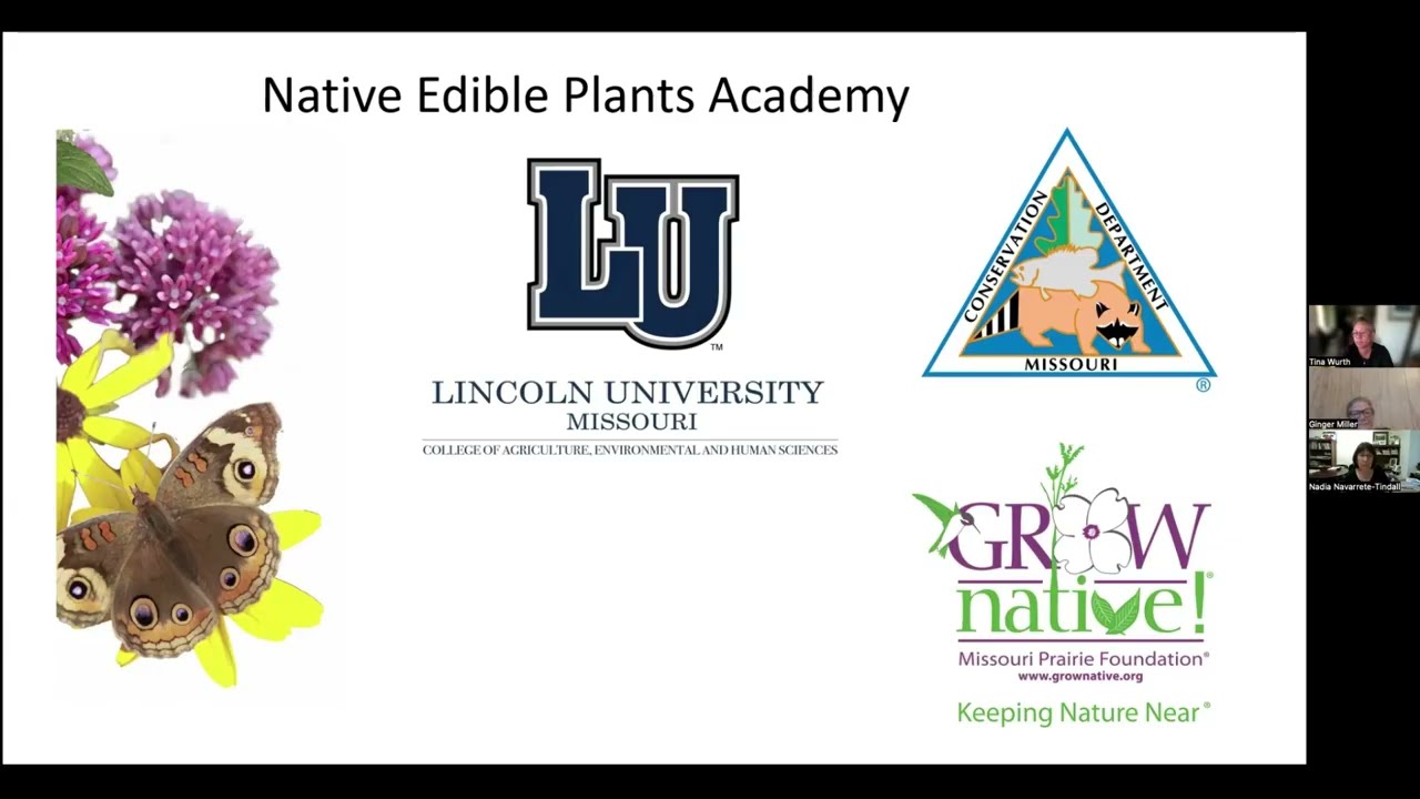 Native Edible Plants Academy April 9 2026