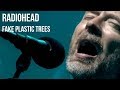 Radiohead - Fake Plastic Trees | subtitulada