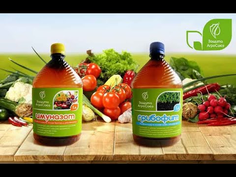 Биофунгицид Pseudоmonas chlororaphis, псевдомонада, удобрение "Имуназот ...