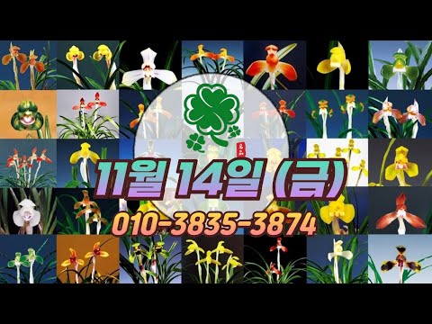 유튜브 썸네일