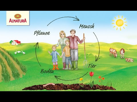 Vorschau: Früchteallerlei mit Vollkorn ab 6 Monaten (190 g)