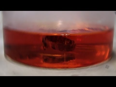金はアクアレジアに溶解する（反応のみ (Gold Dissolves in Aqua Regia (reaction only))