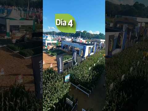 🌱 Día 4 – Agrodinámica 2025