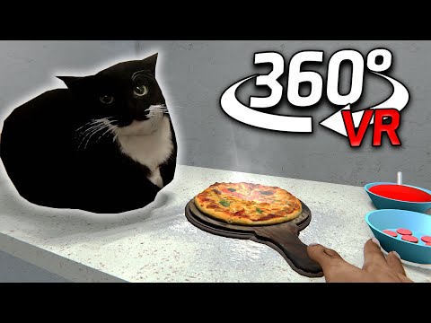 360° Maxwell The Cat WE MAKE PIZZA in VR/4K