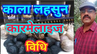 काला लहसुन कैसे बनता है ? how black garlic Is made | black garlic farming