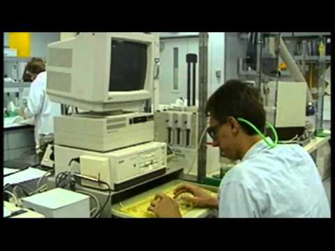 Paul Birken "Turtlespeek"