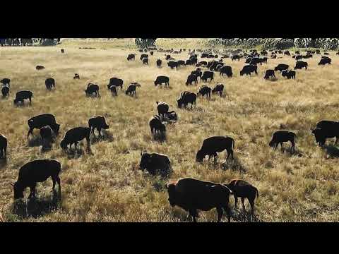 What is in store for 2026 ADV Moto Adventures with Rocco's Riders