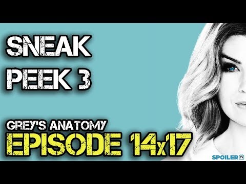 Grey's Anatomy 14x17 Sneak Peek 3 "One Day Like This