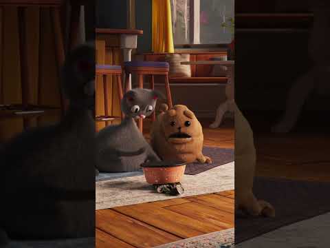 Dogs will eat anything