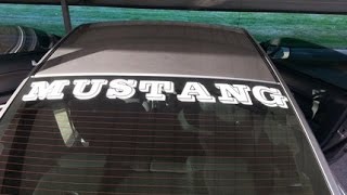 DIY Mustang Rear Window Decal Sticker