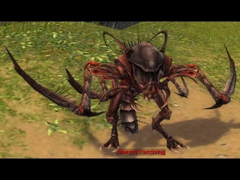 Guild Wars - Farming Mantides (R/A) [HM]