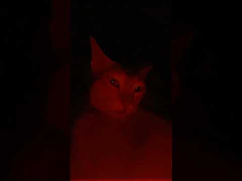 🟥♦️♥️❤️❣️♥️🔴💋