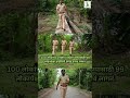 वनरक्षक Uniform Forestguard Dream Target Khaki Misson Trending Youtube Inspirational L