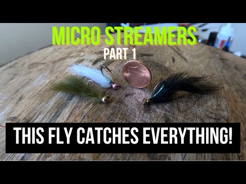 FLY TYING TUTORIAL | How to tie this SUPER EFFECTIVE Micro Streamer
