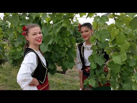 Etno grupa Kolevka - Sinoć mi je dolazio Đorđe