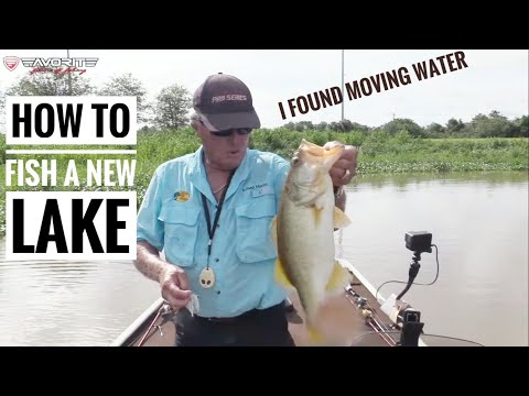How to fish a new lake