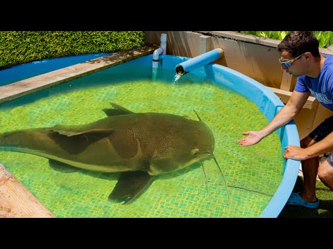 SAVING My Fish From POND MONSTER