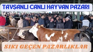 TAVŞANLI CANLI HAYVAN PAZARI 1 MAYIS 2025 GÜNCEL KURBANLIK FİYATLARI SIKI GEÇEN 