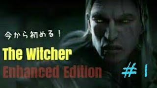PCゲーム『The Witcher Enhanced Edition』をプレイ！ #1