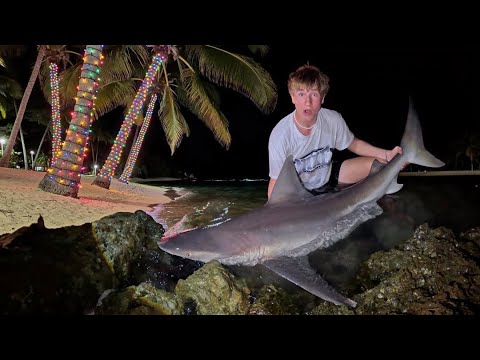 5 Days in the Florida Tropics - Giant Sharks, Catch N Cooks & Marina Fishing