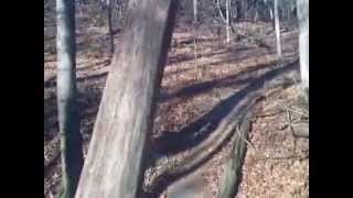 preview picture of video 'East Fork Lake MTB Trail II'
