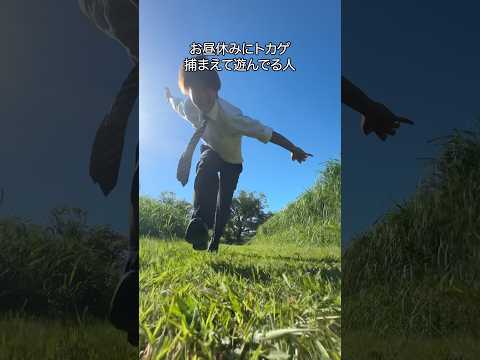 お昼休みにトカゲ捕まえて遊ぶ奇行種サラリーマン #shorts
