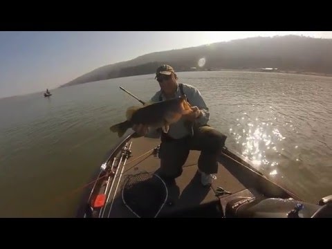 Lake Guntersville GIANT Largemouth - GoPro