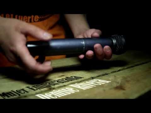 GuerrilleroKulto / Aritmetrica / Inteligencia Linguística  / 2013