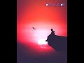 Kayathai Nesikiren Enkeyum Kadhal Tamil Love Sad Whatsapp Status