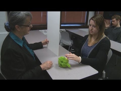 Ten Percent Of U.S. High School Students Graduating Without Basic Object Permanence Skills