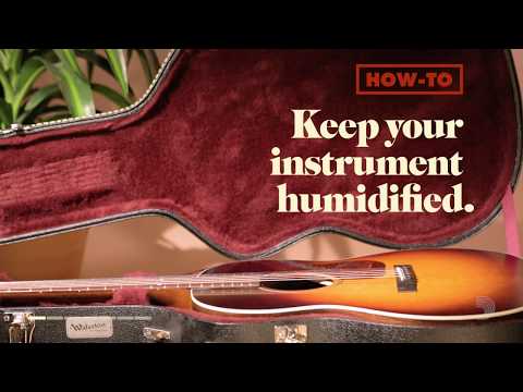 D'Addario Humidipak Maintain - Automatic Humidity Control System image 2