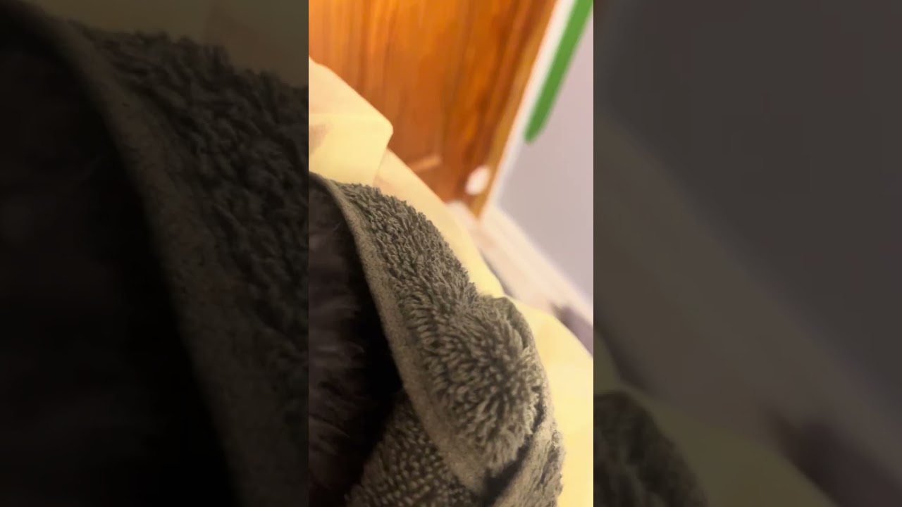Pru video