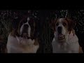 Beethoven 2nd 1993 Beethoven And Missy S Date Night