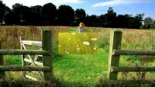 (HD 1080p) Mozart's Flute and Harp Concerto K299 (Andantino),  James Galway