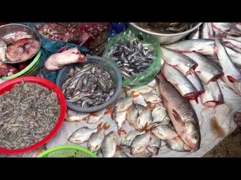 Cambodian Food Tour, Walking Tour in Phnom Penh at Market street food 2021