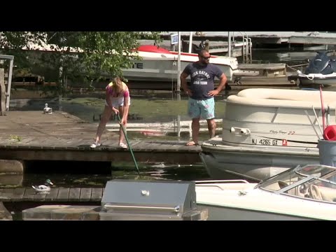 NJ Ten Million Dollar Legislation To Help NJ Lakes