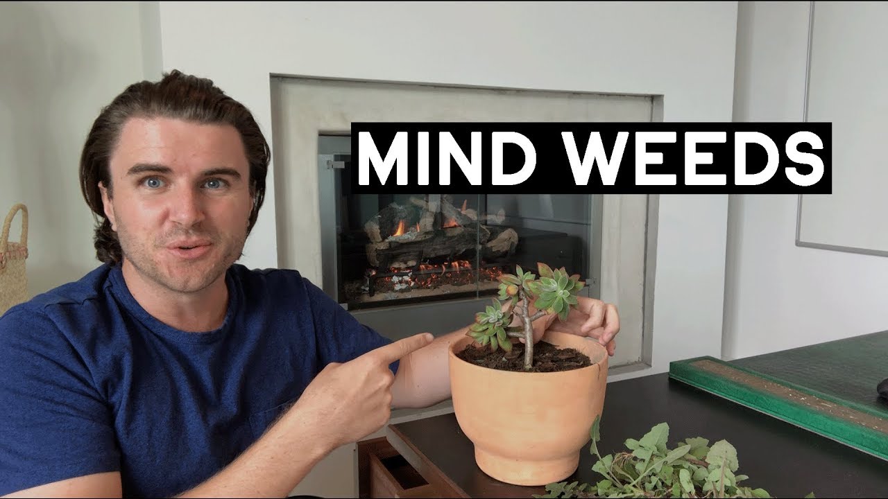 Why Your Mind Is Full Of Weeds