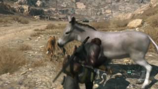 MGS5 Donkey punch