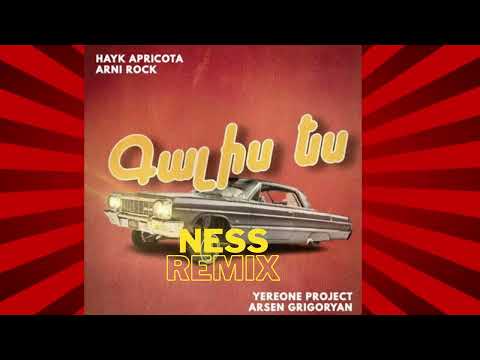 Hayk Apricota & Arni Rock ft. Yereone Project & Arsen Grigoryan - Galis es(Ness Remix)