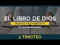 El Libro De Dios Libro Por Libro 1 Timoteo Ps Salvador Gómez