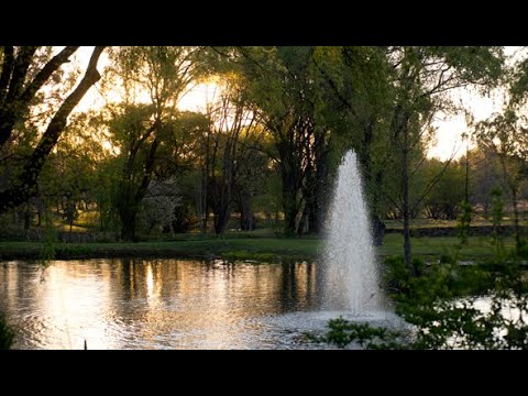 Glenrock Gardens