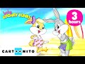 Dance Music Party With Baby Looney Tunes 1 Hour MARATHON Cartoonito
