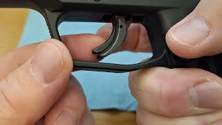 Ruger Max-9 California version Issues