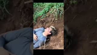 Poor darius😞😞#CYRUSDOBRE #DARIUSDOBRE #LUCASDOBRE #MARCUSDOBRE #DOBRE#SUBSCRIBE #FYP#VIRAL#LIKE