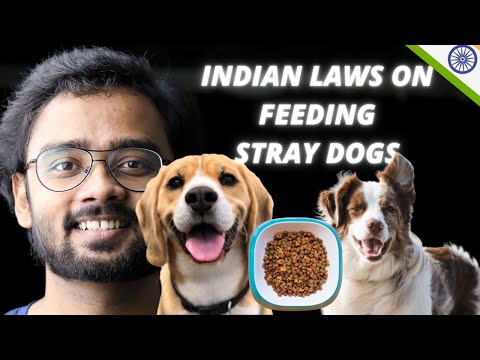 Indian Laws on Feeding Stray Dogs | Rohit Pradhan