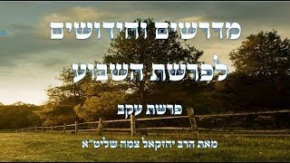חידושים לפרשת השבוע פרשת עקב                 [נמסר בשנה שעברה]