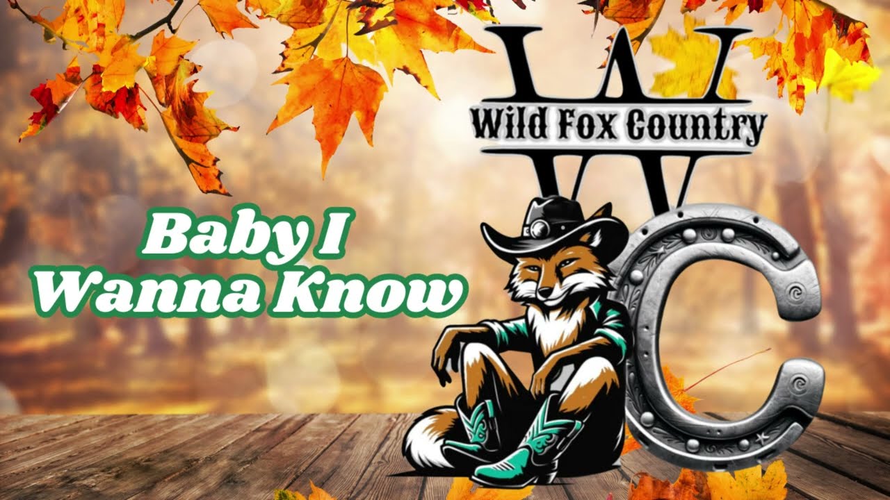Baby I Wanna Know - Démonstration