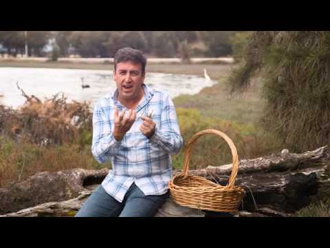 download lagu mp3 mp4 Samphire, download lagu Samphire gratis, unduh video klip Samphire