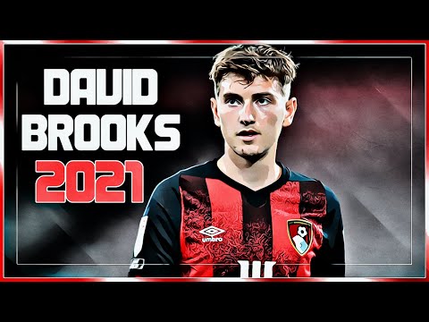 David Brooks - Bournemouth - Goals Skills Highlights