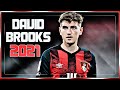 David Brooks - Bournemouth - Goals Skills Highlights